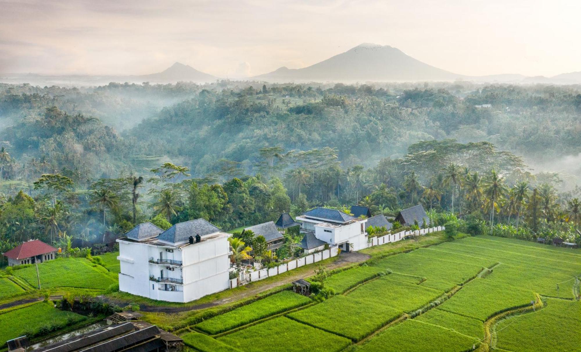 Abian Taksu Suite & Villas เตกากาลัง ภายนอก รูปภาพ
